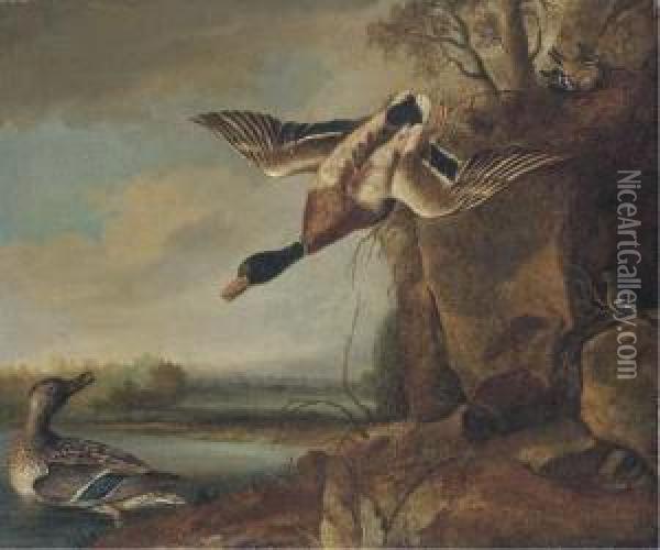 Mallard And Chaffinches In A River Landscape Oil Painting - Francis Barlow