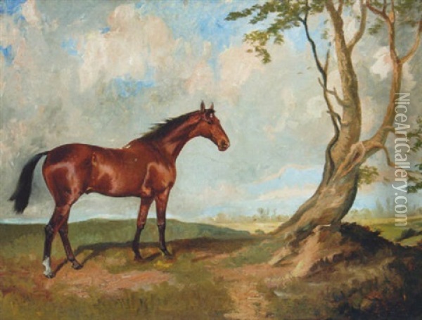 A Bay Hunter Before A Tree In An Extensive Landscape Oil Painting - James Lynwood Palmer