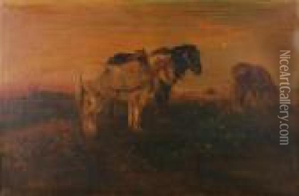 Horses In The Meadow Oil Painting - Henry Schouten