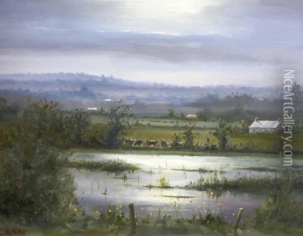 Flooded Fields 
Loughgall Oil Painting - David Hess