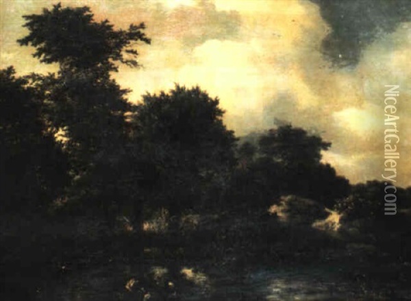 Wooded Landscape With A Stream Oil Painting - Jacob Van Ruisdael