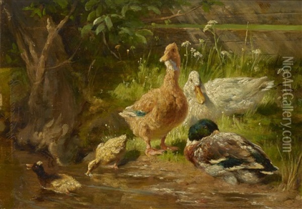 Entenfamilie Am Ufer Oil Painting - Antonis Matteo Montemezzo