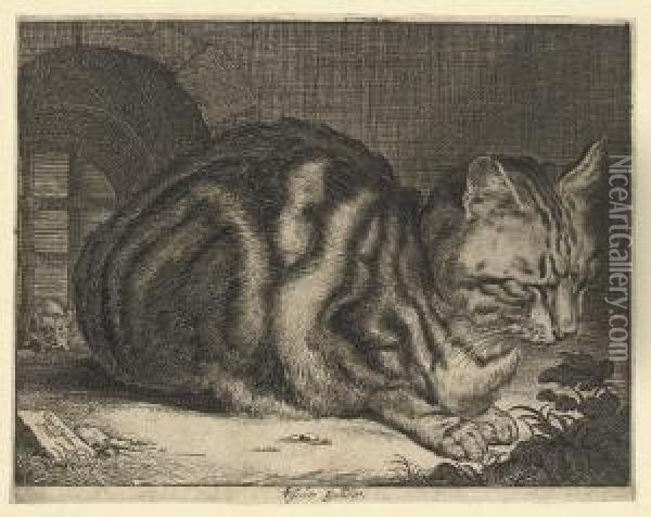 The Large Cat (duthuit 46; Holl. 42) Oil Painting - Cornelius de Visscher