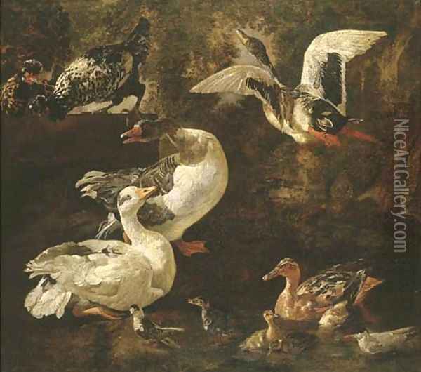 Geese Oil Painting - Jan Victors