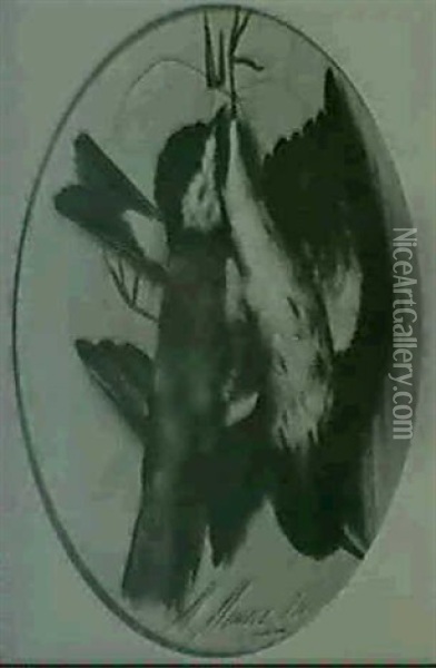 Vogelstilleben Oil Painting - Michelangelo Meucci
