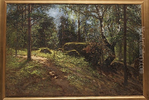 Solbelyst Skogsglanta Oil Painting - Johan Severin Nilsson