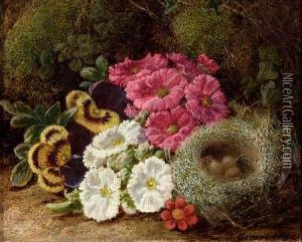 Primulas And A Bird's Nest On A Mossy Bank Oil Painting - George Clare