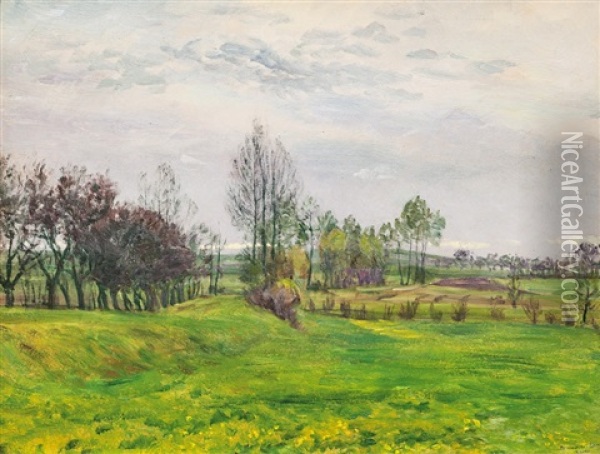 Jarni Nalada U Zeleznice Oil Painting - Frantisek Kavan