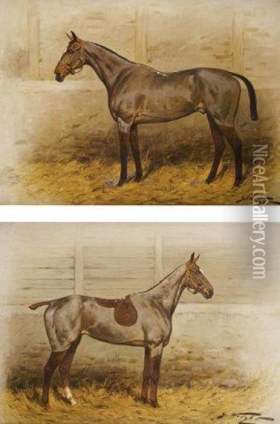 A Pair Of Stabled Thoroughbreds With Winter Clip Oil Painting - George Wright