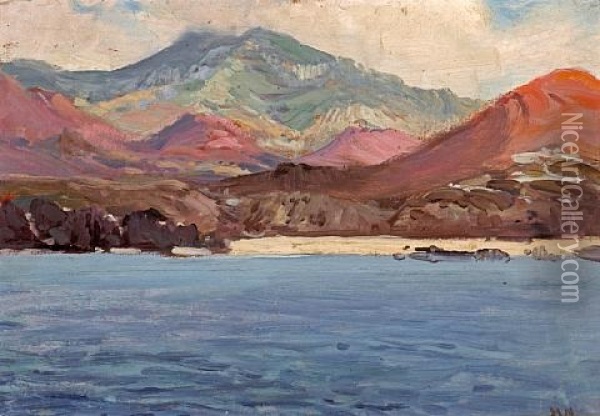 A Cape Coastal Landscape Oil Painting - Pieter Hugo Naude