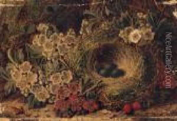 Plums, Apples And Raspberries On
 A Mossy Bank; And Apple Blossom And Eggs In A Bird's Nest On A Mossy 
Bank Oil Painting - George Clare
