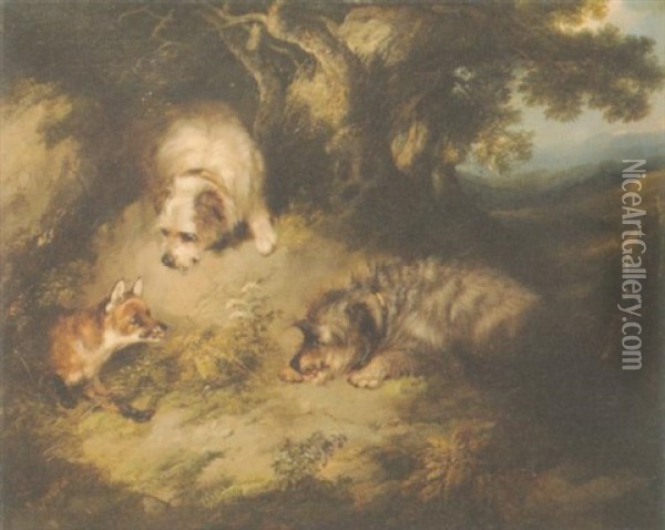 Terriers Approaching A Fox In A Wooded Landscape Oil Painting - George Armfield
