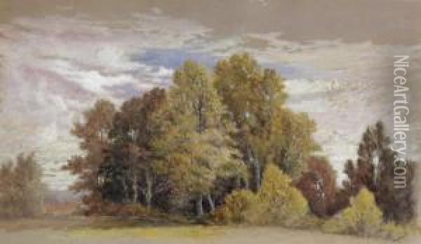 Landscape Oil Painting - Thomas Lochlan Smith