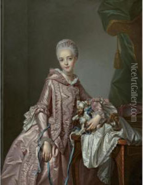 Portrait Of A Girl Holding A Spaniel Oil Painting - Alexander Roslin