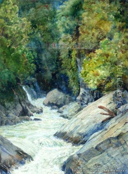 The Gallery Gorge, Whiao, Franz Josef Glacier Oil Painting - Eduard (david) Einschlag