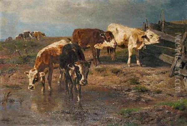 Kuhe Am Wasser Oil Painting - Anton Braith