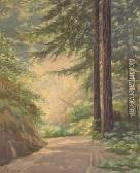 A Road Through The Redwoods Oil Painting - Lorenzo Palmer Latimer