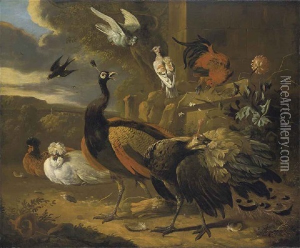 Peacocks, A Rooster, Pigeons, A Swallow, And Other Birds, In A Landscape Oil Painting - Melchior de Hondecoeter