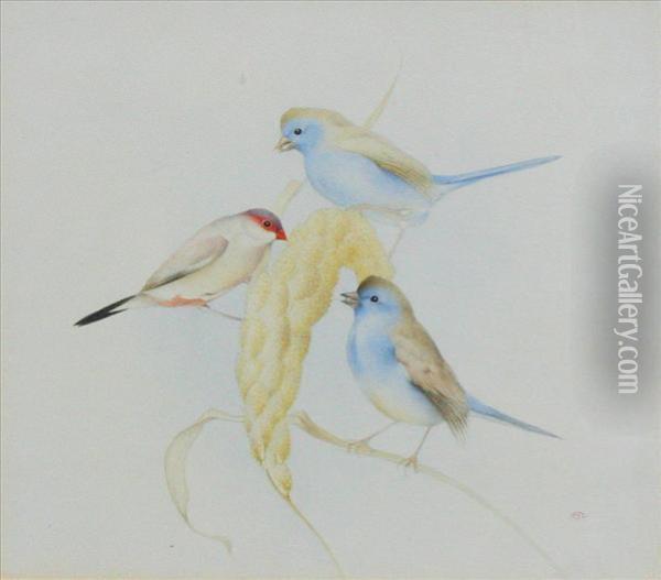 Studyof Three Finches Perced On An Ear Of Corn Oil Painting - Charles Maurice Detmold