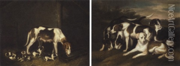 A Pack Of Hounds Oil Painting - Samuel Raven