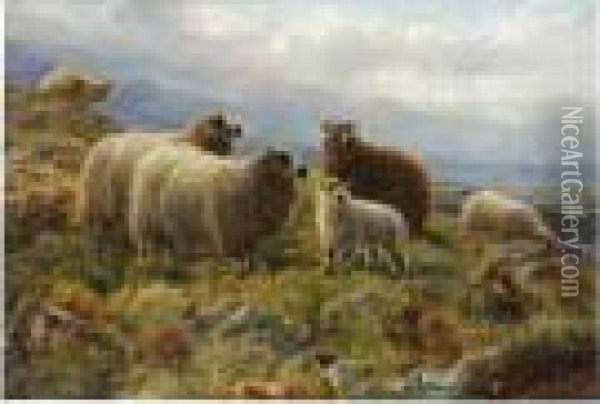 Sheep On A Hillside; And Another, Highland Cattle By A Stream Oil Painting - Robert Watson