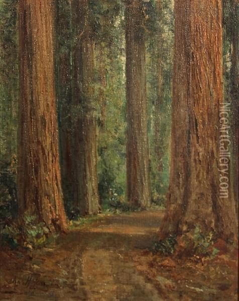 Road Through The Redwoods Oil Painting - Charles Henry Harmon