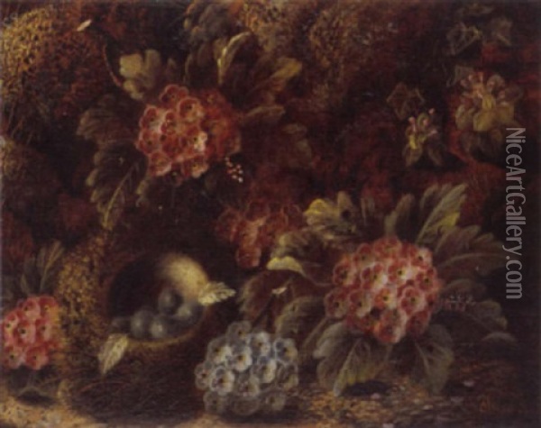 Still Life Of Bird's Nest And Flowers Oil Painting - Oliver Clare