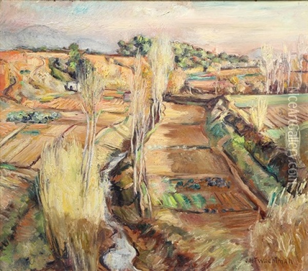 Farming Fields Oil Painting - John Henry Twachtman