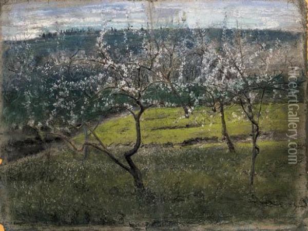Mandorli In Fiore Oil Painting - Alceste Campriani