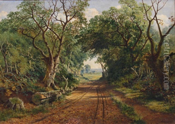 A Wooded Country Lane Oil Painting - Edward H. Niemann