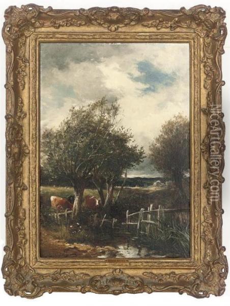 Cows Watering At A Stream, Worcestershire Oil Painting - David Bates
