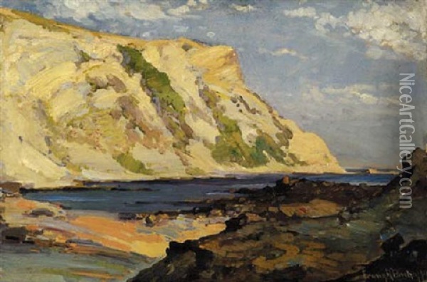 Coastal Cliffs Oil Painting - Franz Arthur Bischoff