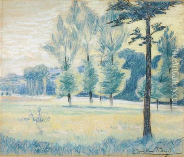 Landschaft Mit Wiesen Und Baumen Oil Painting - Emile Gustave Cavallo-Peduzzi
