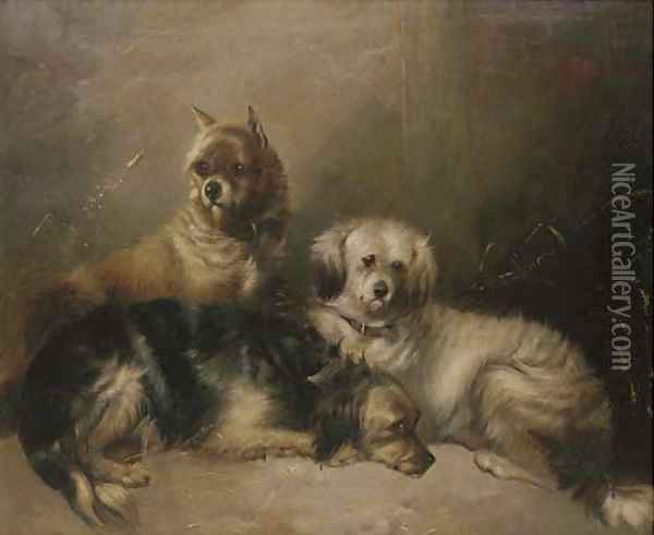 Three mischievous terriers Oil Painting - George Armfield