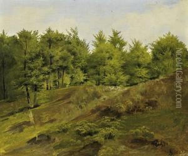Wooded Landscape Oil Painting - Johann Wilhelm Preyer