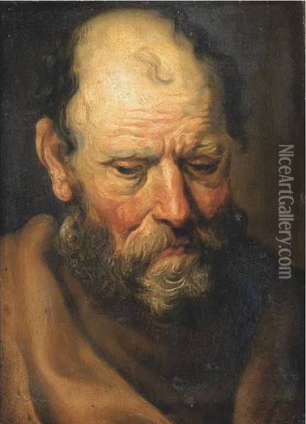 A Male Saint, Head And Shoulders Oil Painting - Jacob Jordaens