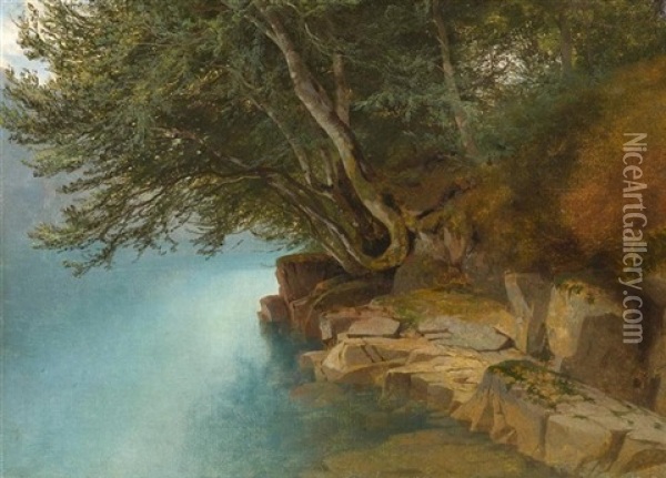 Bord De Lac Et Branches Pliees L'eau Oil Painting - Alexandre Calame