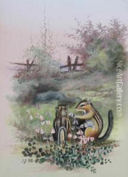 Squirrels And Wildflowers In A Field Oil Painting - Marian Ellis Rowan