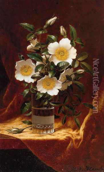 Cherokee Roses In A Glass Oil Painting - Martin Johnson Heade