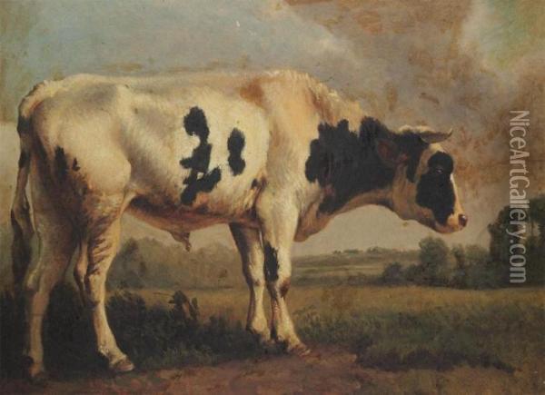 Cow Oil Painting - Ildephonse Stocquart