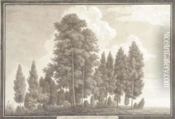 Sal Trees In The North Of Rohilcund Oil Painting - Thomas Longcroft