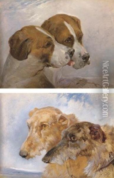 The Heads Of Two Foxhounds; And The Heads Of Two Deerhounds Oil Painting - John Frederick Herring Snr