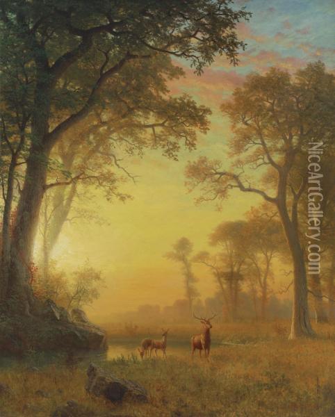 Light In The Forest Oil Painting - Albert Bierstadt