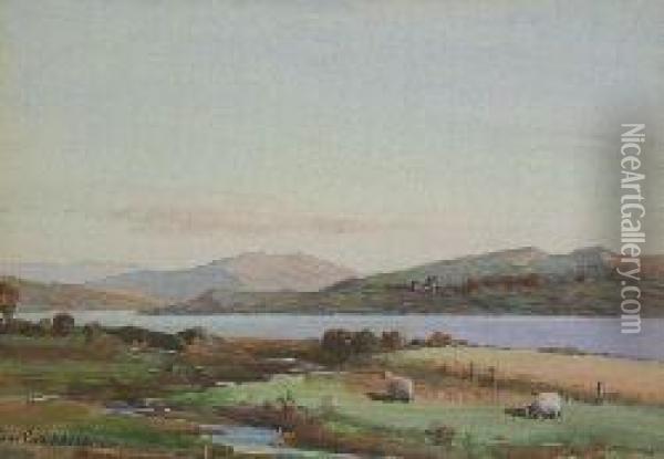Sheep On A Riverbank Oil Painting - Thomas, Tom Campbell