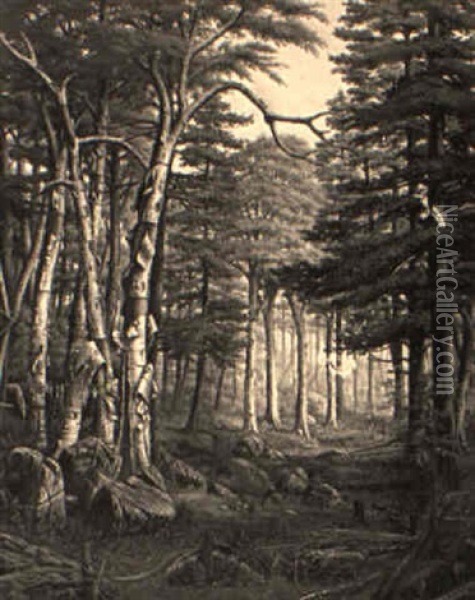 Woodland Scene Oil Painting - Levi Wells Prentice