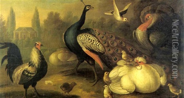 A Peacock, A Cockerel, A Turkey And Other Fowl In A Garden, A Pavilion Beyond Oil Painting - Marmaduke Cradock