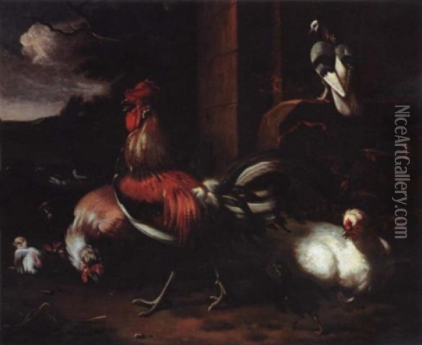 A Proud Rooster Oil Painting - Melchior de Hondecoeter