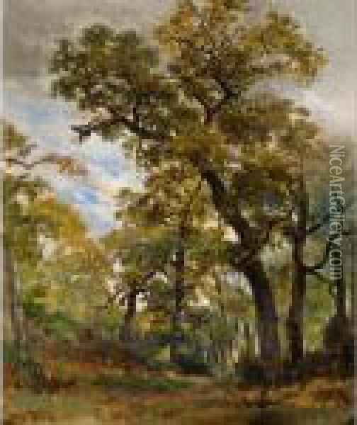 Sous-bois, Fontainebleau Oil Painting - Willem Roelofs