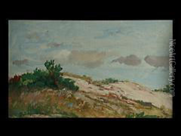 Landschaft Mit Sanddunen Oil Painting - Michael Gorstkin Wywiorski