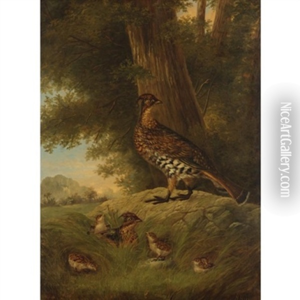 A Family Of Grouse In A Landscape Oil Painting - Howard L. Hill